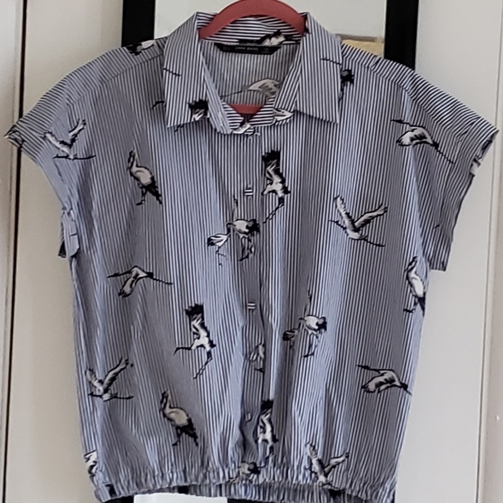 Zara Bird Crop Top